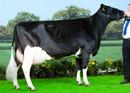 Lismulligan Priscilla 41